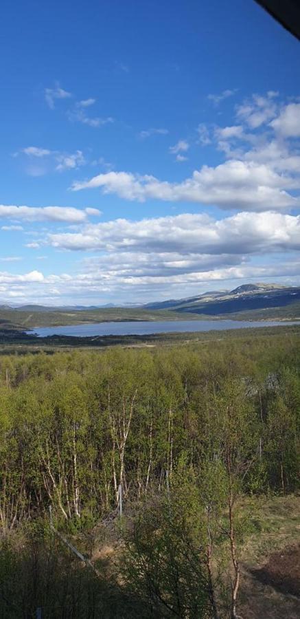 Snohetta Camping Hjerkinn Экстерьер фото